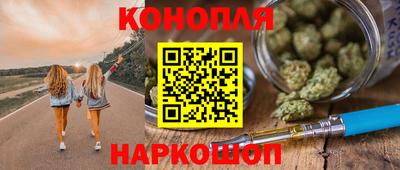стаф Тула
