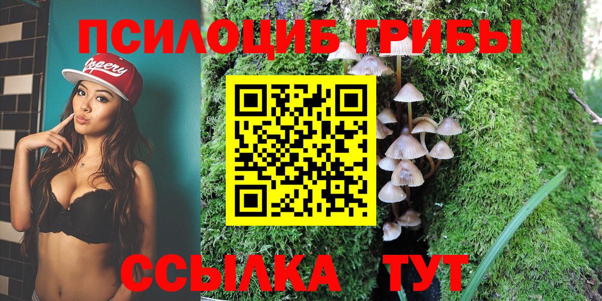 цены наркотик  Псилоцибиновые грибы мицелий  Вход с VPN  Мурино 