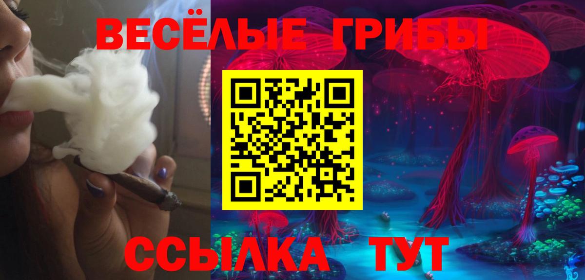 Галлюциногенные грибы GOLDEN TEACHER Мурино