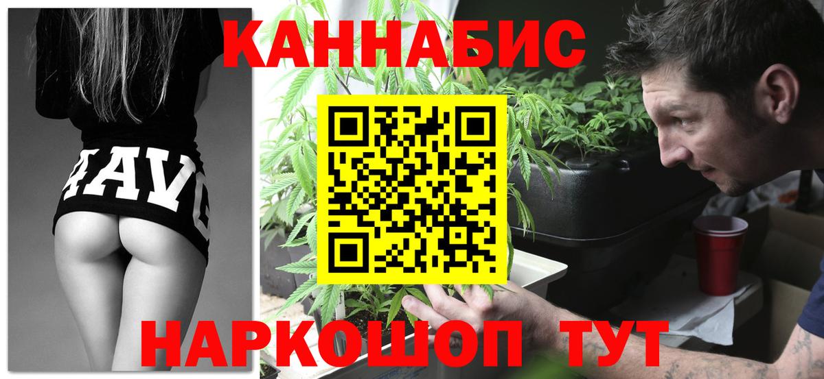 APVP Мурино